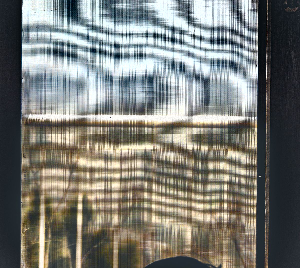 Mosquitera de malla fina en una ventana.