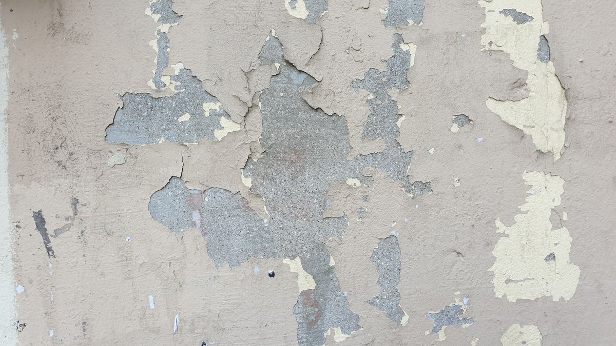 Primer plano de una grieta en una pared, un punto de entrada típico para plagas.