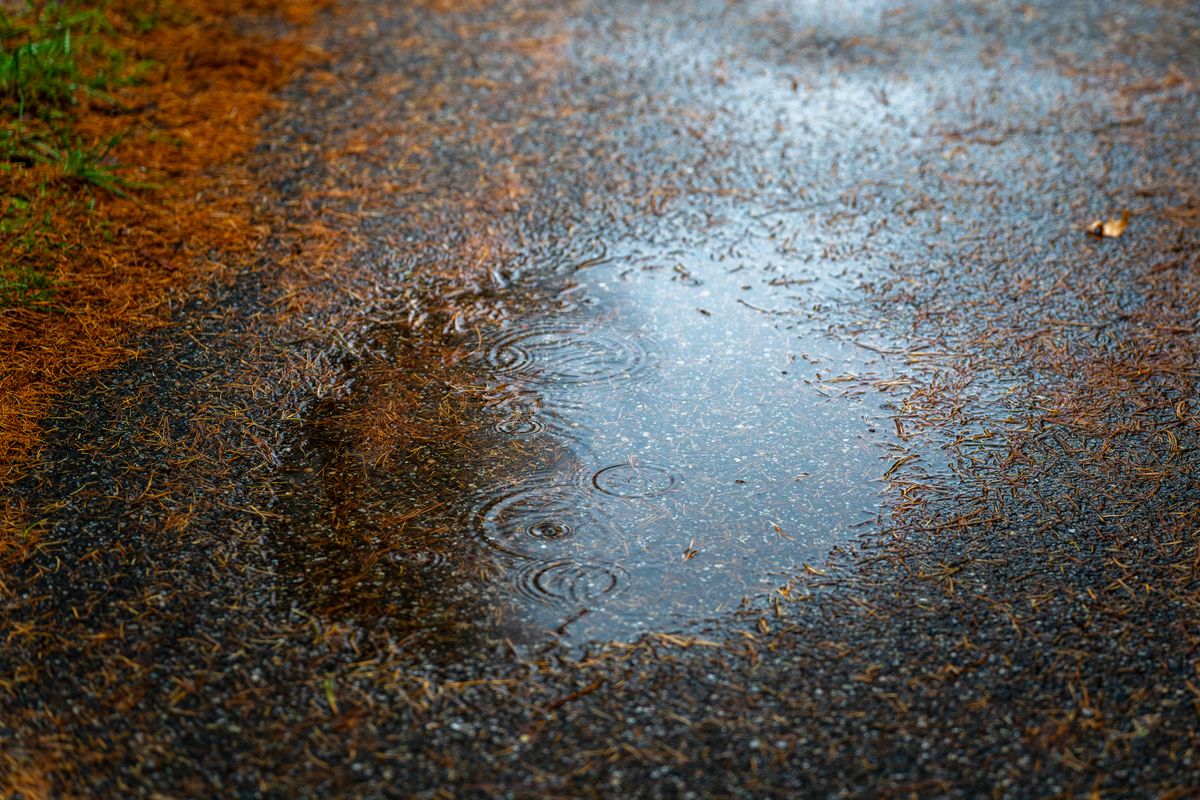 Charco de agua estancada sobre el suelo.